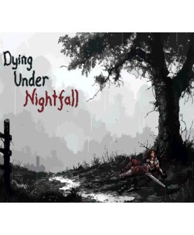 DYING UNDER NIGHTFALL  Steam Key GLOBAL